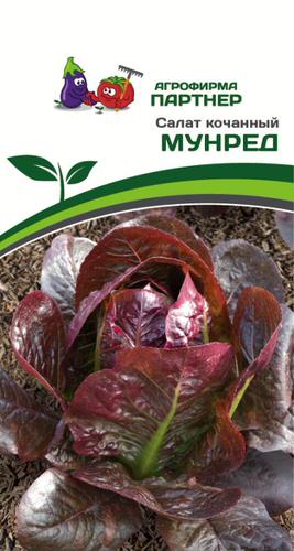 Салат Мунред кочанный