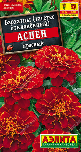 Бархатцы Аспен красный откл.