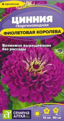 Цинния Фиолетовая Королева георгиноцв. 