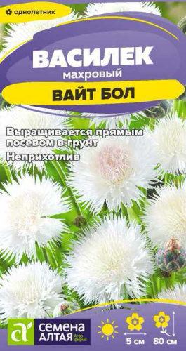 Василек Вайт Бол 
