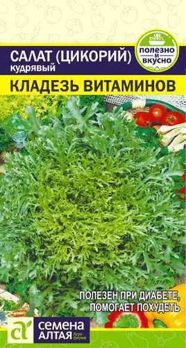 Салат (цикорий) Эндивий Кладезь Витаминов 