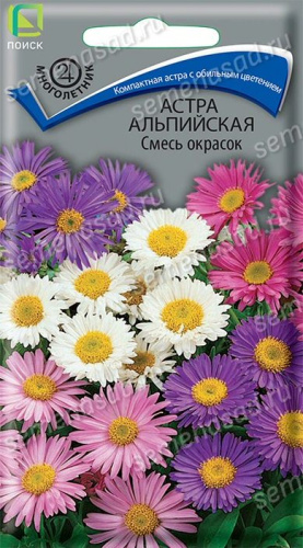 Астра альпийская, смесь 