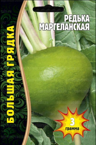 Редька Маргеланская