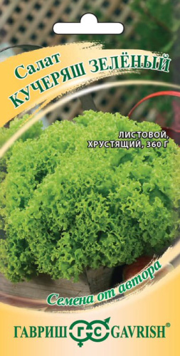 Салат Кучеряш зеленый  автор. 