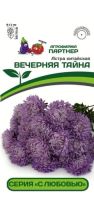 Астра китайская Вечерняя Тайна  купить