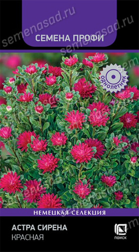 Астра Сирена Красная