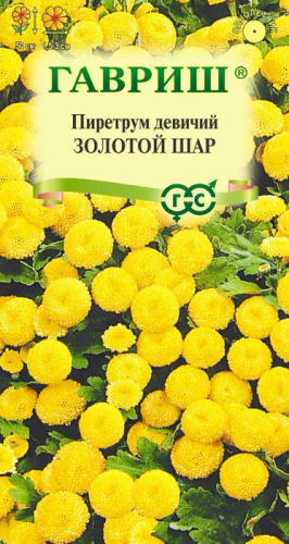 Пиретрум Золотой Шар 