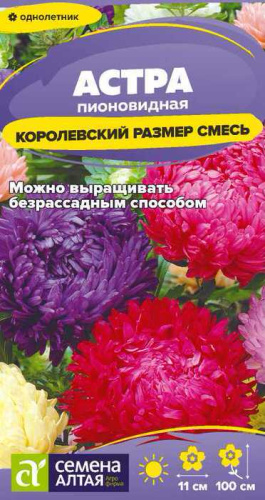 Астра Королевский Размер Смесь пионовидная