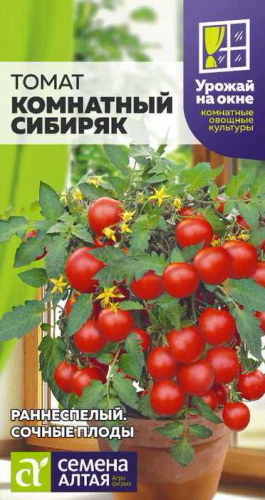 Томат Комнатный Сибиряк