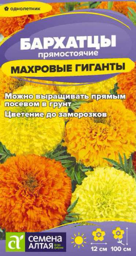 Бархатцы Махровые Гиганты