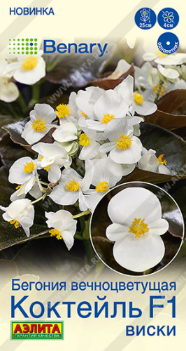 Бегония вечноцветущая Коктейль F1 виски Benary