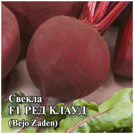 Свекла Ред Клауд F1 10г (Голландия)