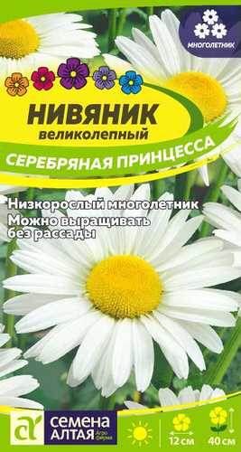 Нивяник Серебряная принцесса