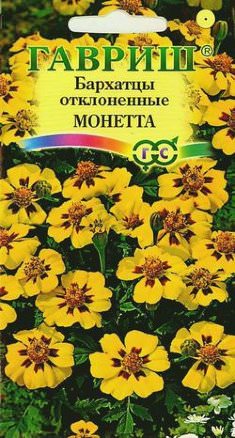 Бархатцы Монетта отклоненные
