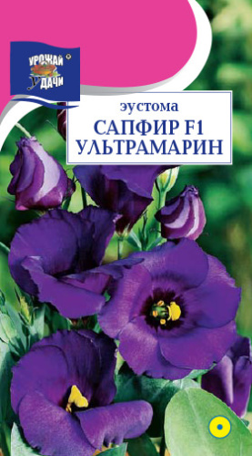 Эустома сапфир Ультрамарин 