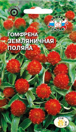 Гомфрена Земляничная поляна