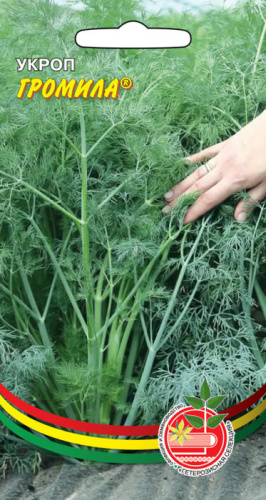 Укроп Громила (ГС) 