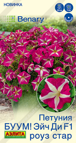 Петуния БУУМ! Эйч Ди F1 Роуз Стар