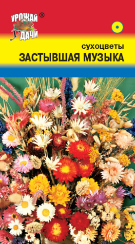 Смесь Сухоцветов Застывшая музыка 