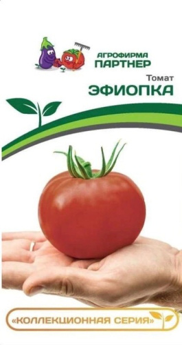 Томат Эфиопка