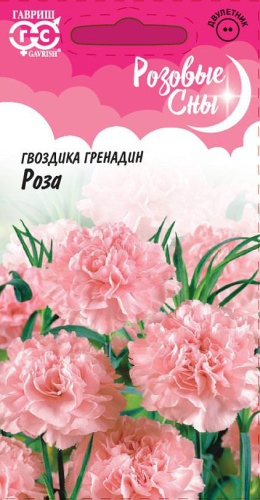 Гвоздика садовая гренадин Роза РС