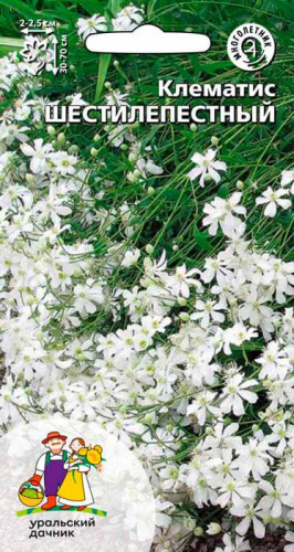 Клематис Шестилепеcтный