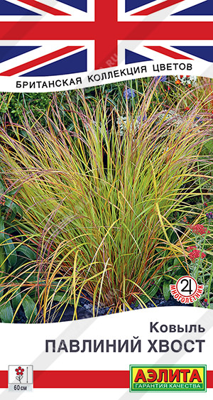 Ковыль Павлиний хвост