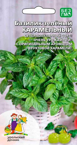 Базилик Карамельный зелёный
