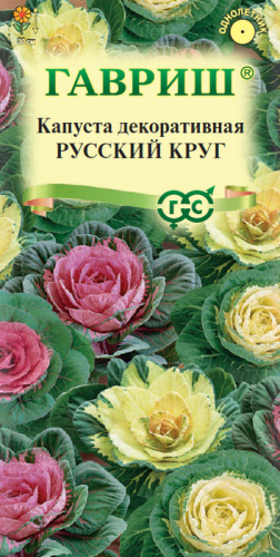 Капуста декоративная Русский круг 