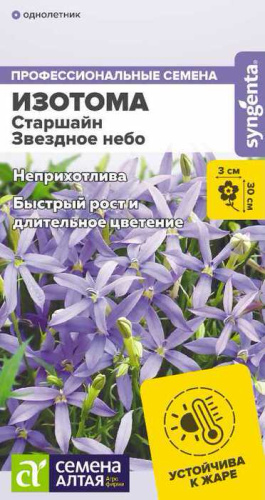 Изотома Старшайн Звездное небо
