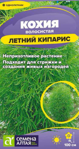 Кохия Летний кипарис