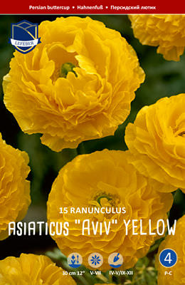 Ранункулюс asiaticus Aviv YELLOW /15шт