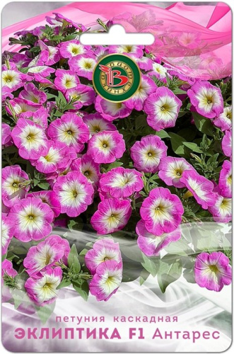 Петуния Эклиптика F1 Антарес каскадная