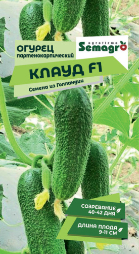 Огурец Клауд F1