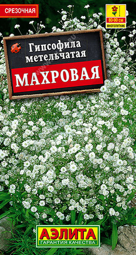 Гипсофила Махровая многолетняя 