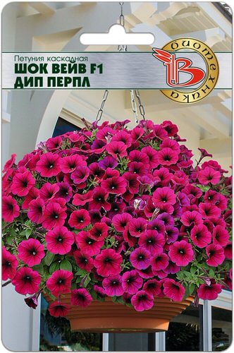 Петуния Шок Вейв F1 Дип Перпл каскадная