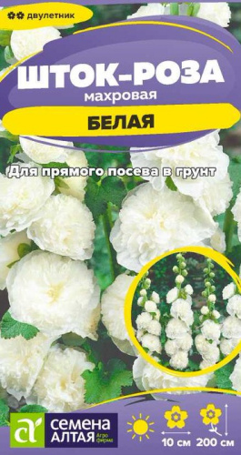 Шток-роза Белая 