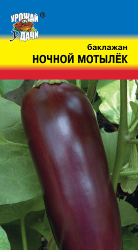 Баклажан Ночной мотылек 