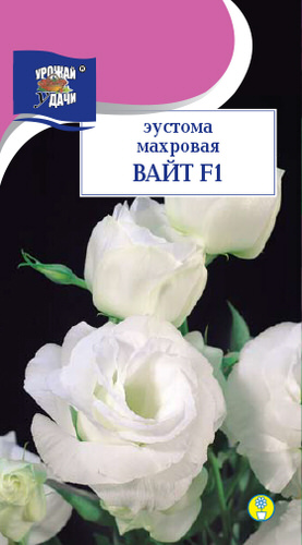 Эустома Вайт F1 махровая 