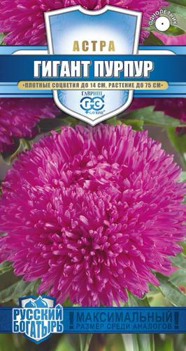 Астра игольчато-коготковая Гигант пурпур 