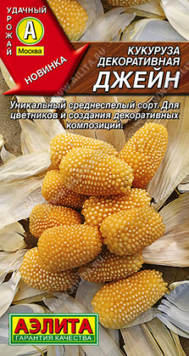 Кукуруза декоративная Джейн