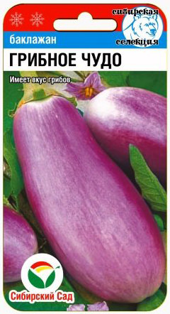 Баклажан Грибное чудо 