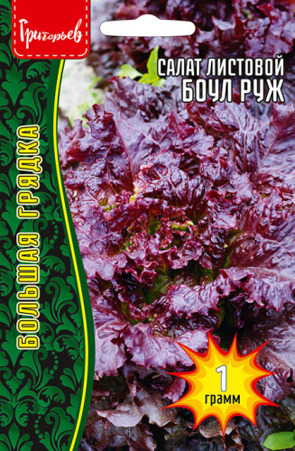 Салат Боул Руж красный листовой