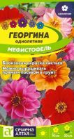 Георгина Мефистофель  купить