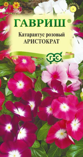 Катарантус Аристократ 