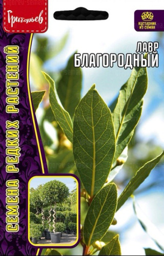 Лавр Благородный 