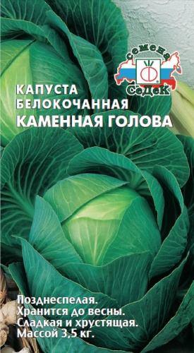 Капуста Каменная голова 