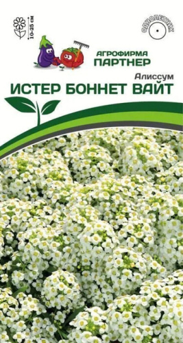 Алиссум Истер Боннет Вайт морской