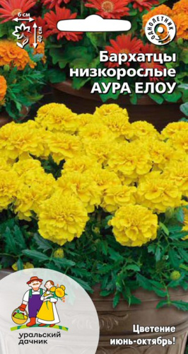 Бархатцы низкорослые Аура Елоу