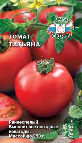 Томат Татьяна 